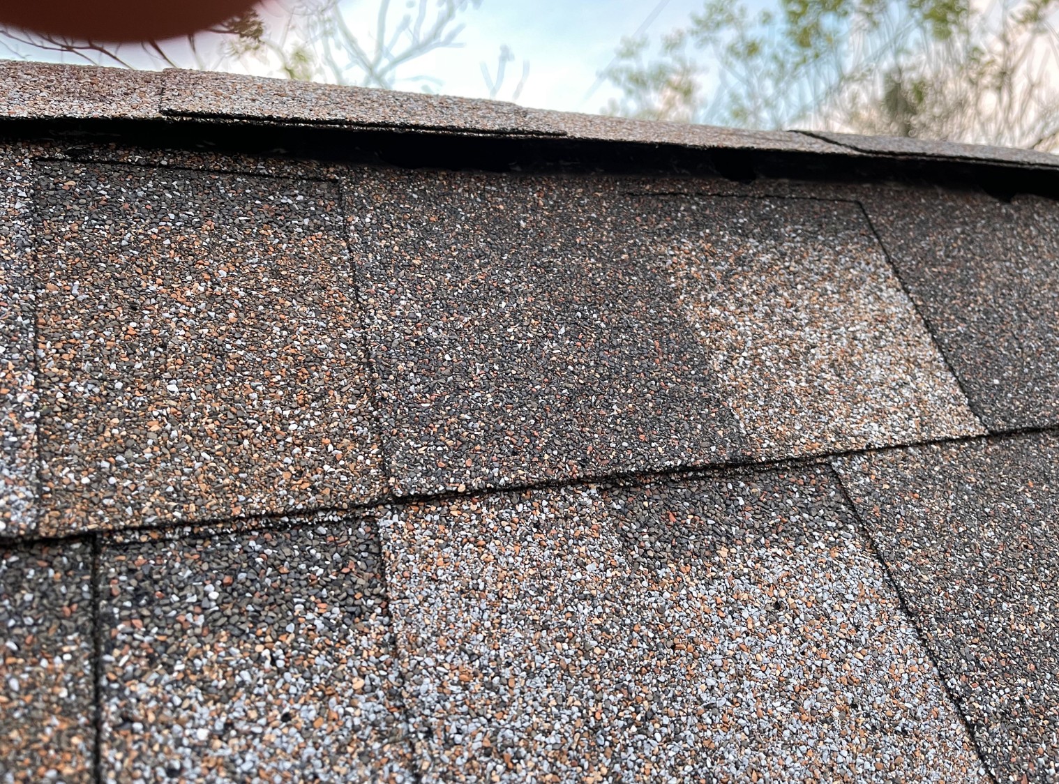 asphalt single roof for shed